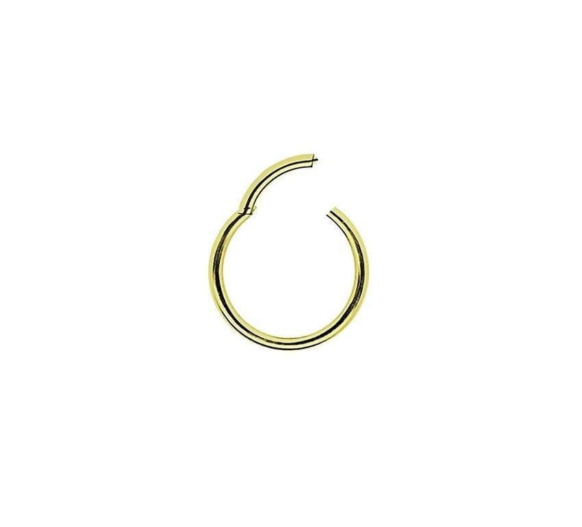 Piercing Argola Segmento Articulado em Aço PVD Gold